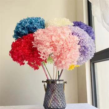 Krāsains Konservēti Hydrangea Mājas Apdare Nekustamā sausie Ziedi Dabas Hydrangea Ziedi ar Cilmes Kāzu Galda Dekori DIY