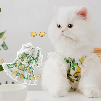 Mājdzīvnieku Modes Kleita Pavasara Vasaras Cute Princese Svārki Kaķis Salds Mežģīnes Vest Mazo Suņu Desinger Krekls Mazuļu Apģērbs Pūdelis Maltas