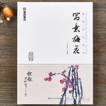 Ķīnas Xieyi Krāsošana Grāmatu Wintersweet Brīvrokas Gleznojums Brushwork Xie Yi Mei Hua Otu, Krāsošanas 48pages 28.5*21cm