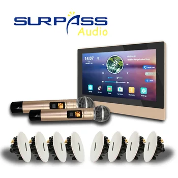 Bluetooth, WiFi Sienas Pastiprinātājs Android Smart Home Audio PA Sistēmu Griestu Skaļrunis 2 Zonu Bezvadu Mikrofons, Stereo Mūzikas Kombinācijas